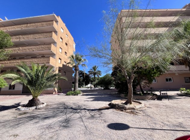 Revente - Appartement - La Mata