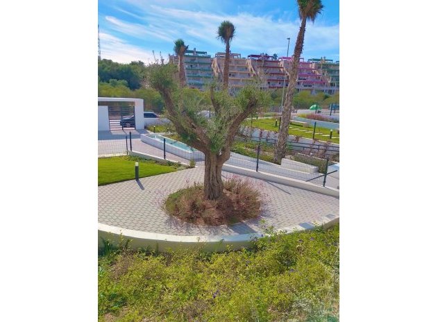 Reventa - Apartamento / Piso - Orihuela