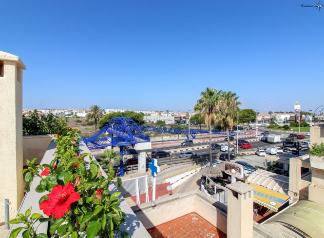 Reventa - Apartamento / Piso - Punta Prima