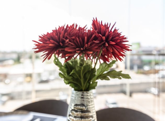 Wiederverkauf - Wohnung - Villamartin - Villamartín