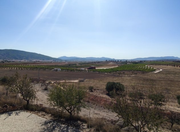 Herverkoop - Villa - Pinoso