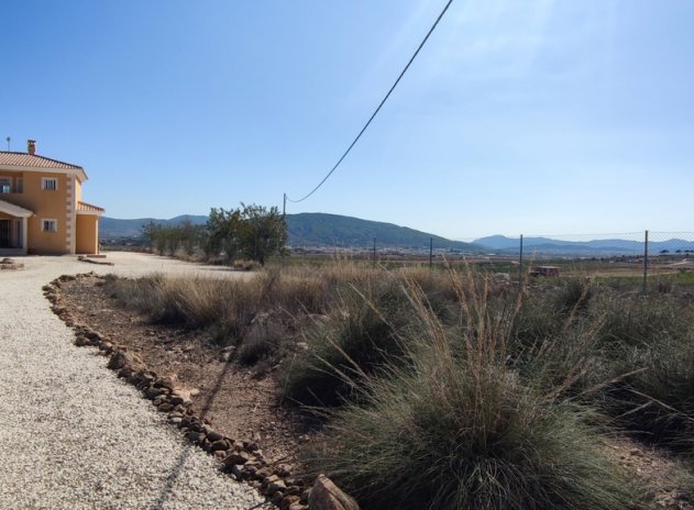 Herverkoop - Villa - Pinoso