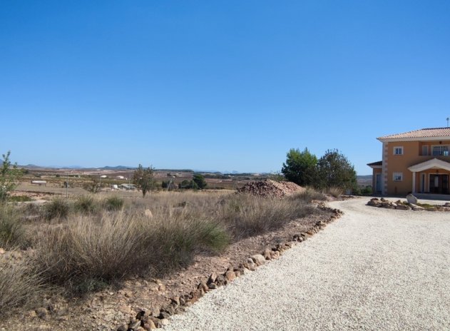 Herverkoop - Villa - Pinoso