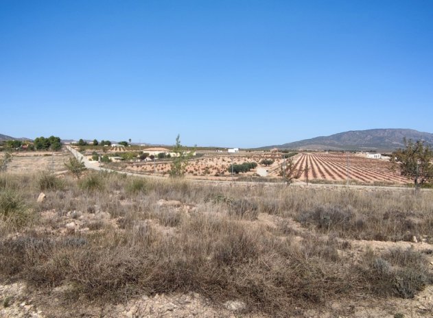 Herverkoop - Villa - Pinoso