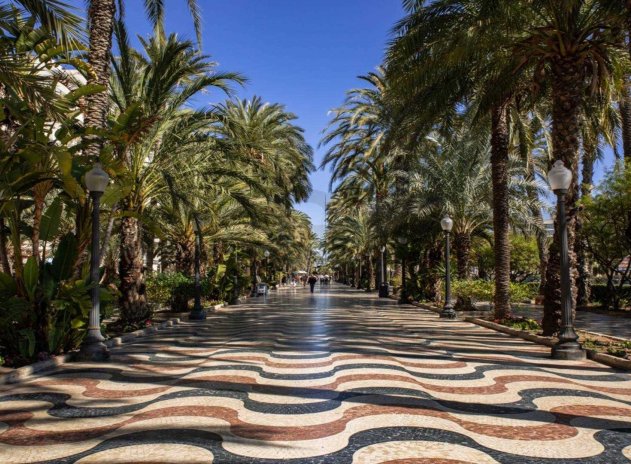 Nieuwbouw Woningen - Appartement - Alicante - Alicante - City