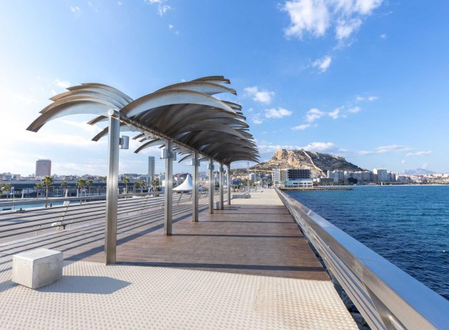 Nieuwbouw Woningen - Appartement - Alicante - Alicante - City