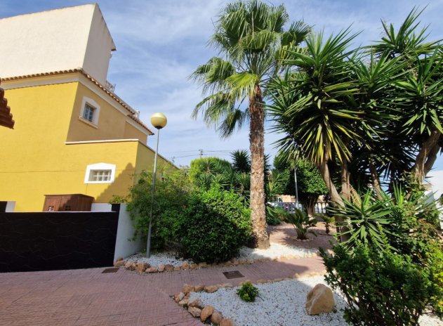 Resale - Apartment / Flat * - Playa Flamenca - Playa Flamenca *