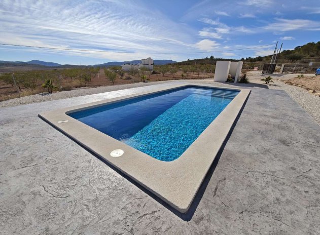 Neue Gebäude - Villa - Pinoso