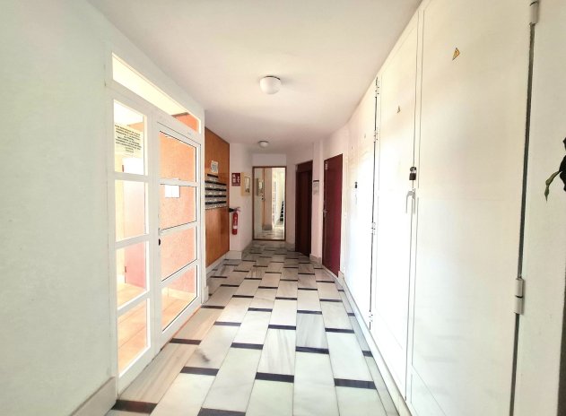 Reventa - Apartamento / Piso - Torrevieja