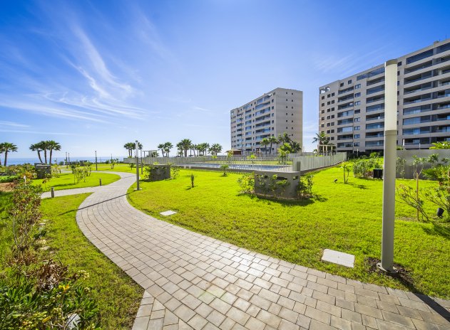 Herverkoop - Appartement - Torrevieja - Punta Prima