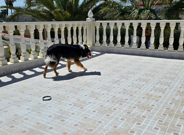 Herverkoop - Villa - Torrevieja - El chaparral