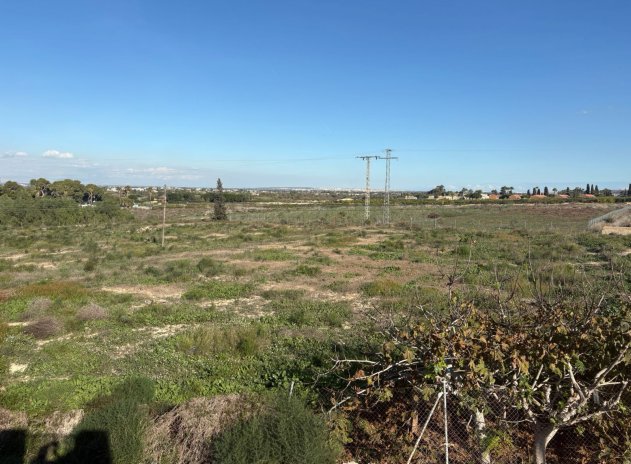 Reventa - Casa adosada - Algorfa