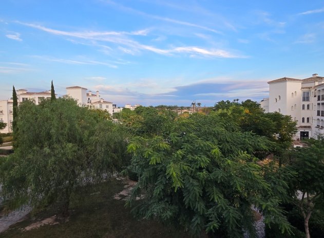 Reventa - Apartamento / Piso - Sucina - Costa Calida