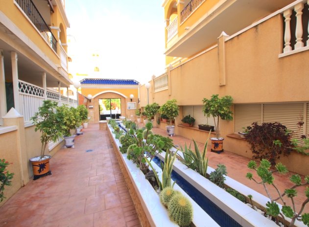 Herverkoop - Appartement - Algorfa