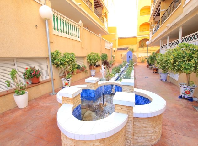 Herverkoop - Appartement - Algorfa