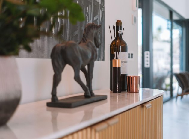 Herverkoop - Villa - San Miguel de Salinas