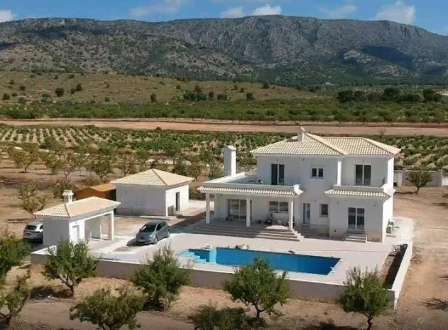 Obra nueva - Villa - Pinoso