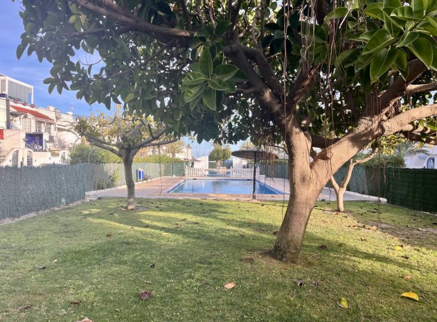 Revente - Appartement - Torrevieja