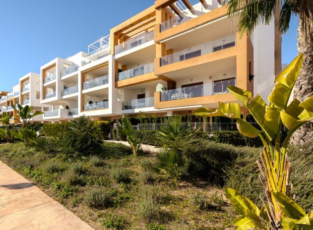 Revente - Appartement - Los Dolses