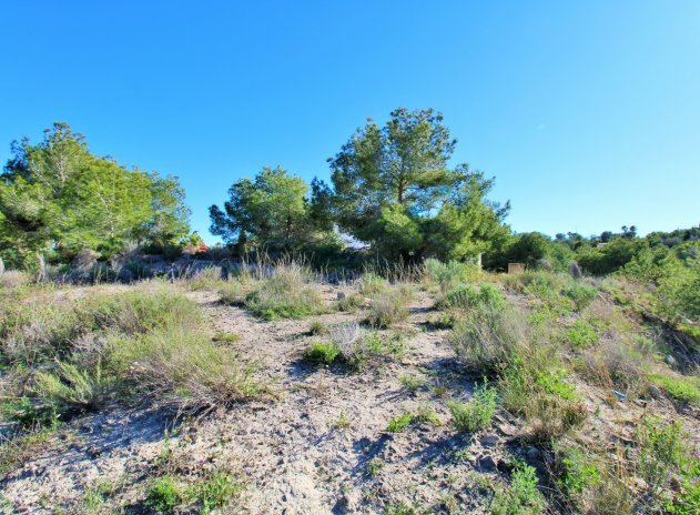 Wiederverkauf - Grundstück - San Miguel de Salinas