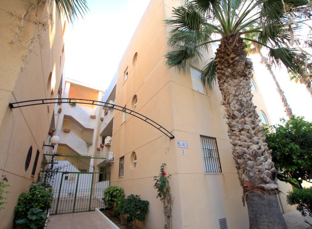 Revente - Appartement - San Luis