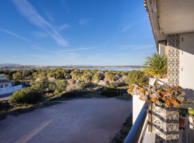 Herverkoop - Appartement - Torrevieja - La Siesta