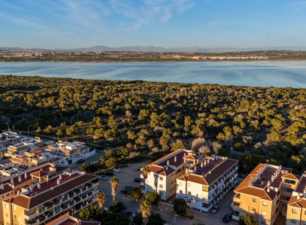 Herverkoop - Appartement - Torrevieja - La Siesta