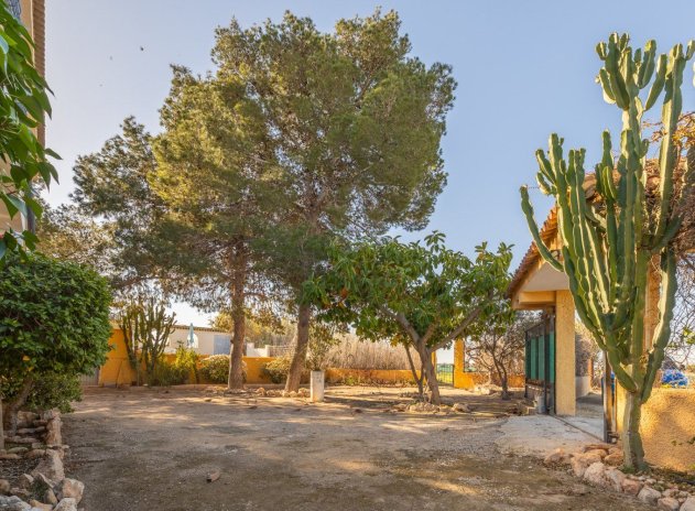 Herverkoop - Villa - Los Montesinos