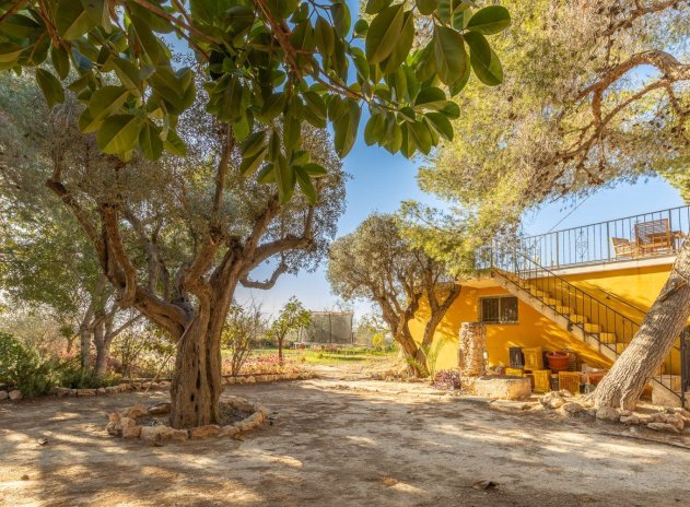 Herverkoop - Villa - Los Montesinos