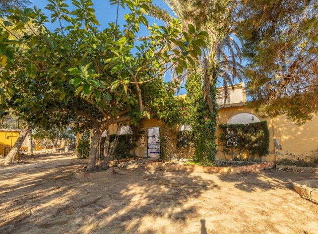 Herverkoop - Villa - Los Montesinos