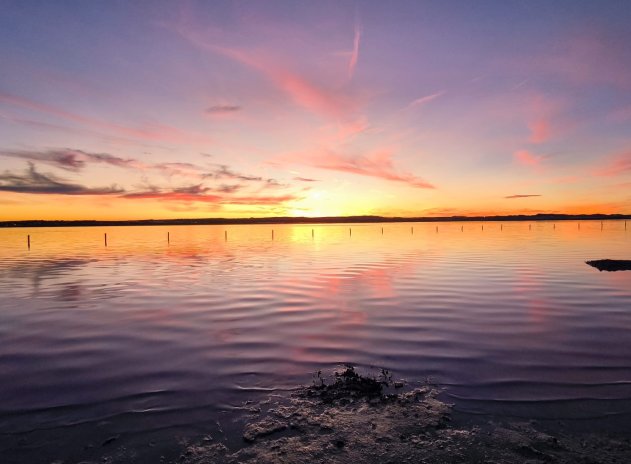 Wiederverkauf - Terrassenhaus - El Chaparral
