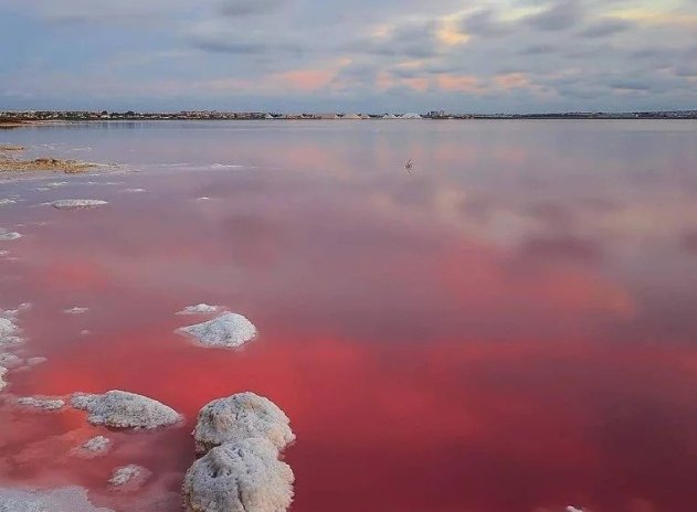 New Build - Apartment / Flat * - Torrevieja * - Lago Jardín II