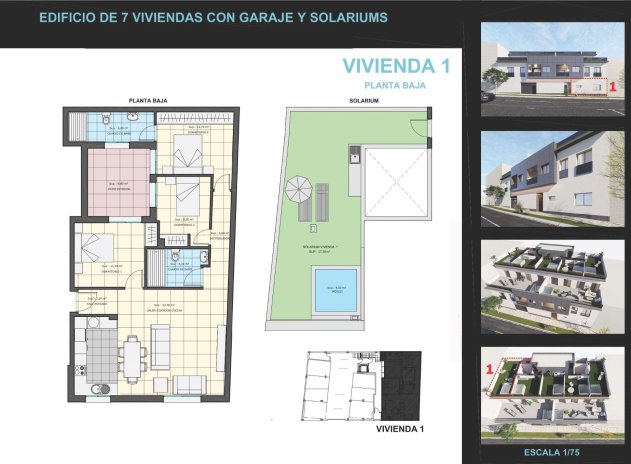 Obra nueva - Apartamento / Piso - Pilar de la Horadada - pueblo