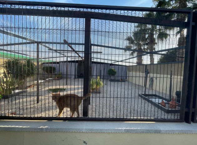 Herverkoop - Finca / Plattelands Woning - Elche - Las Bayas