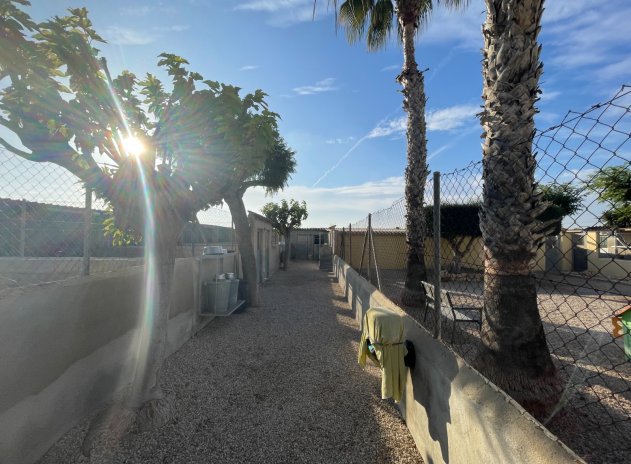 Herverkoop - Finca / Plattelands Woning - Elche - Las Bayas