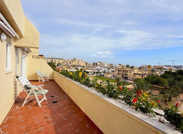 Wiederverkauf - Wohnung - Torrevieja