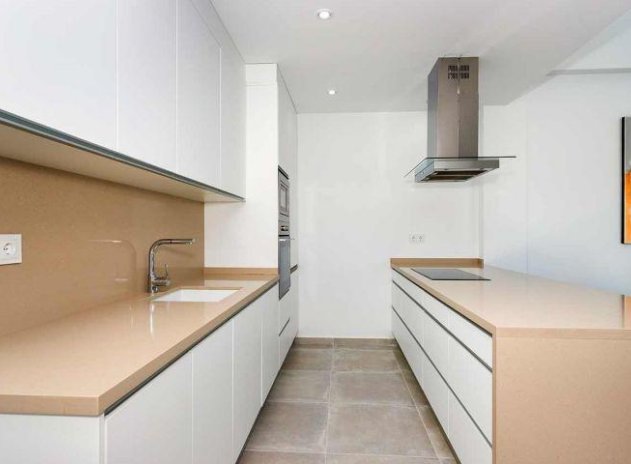 Nouvelle construction - Maison mitoyenne - Daya Nueva