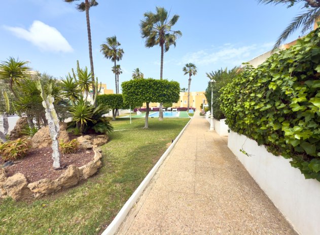 Herverkoop - Appartement - Torrevieja - Torreblanca