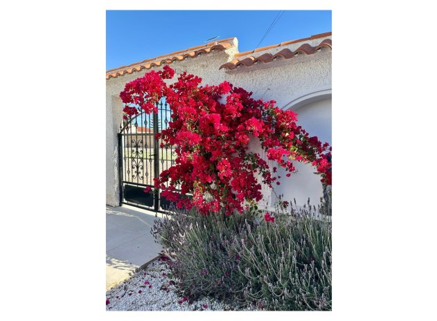 Herverkoop - Villa - Torrevieja - San luis