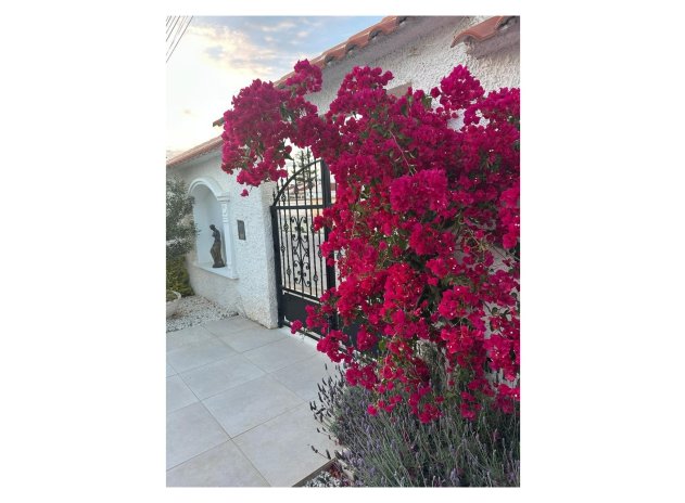 Herverkoop - Villa - Torrevieja - San luis