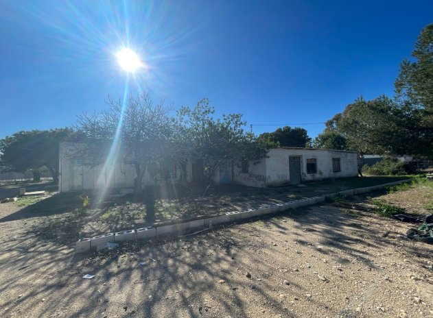 Revente - Finca / Maison Rurale - Elche