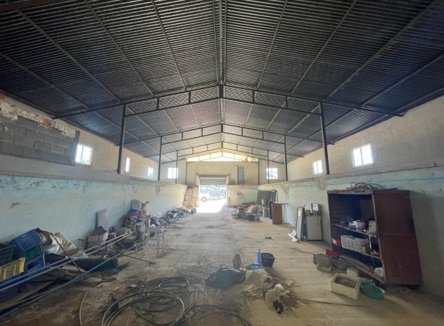 Revente - Finca / Maison Rurale - Elche