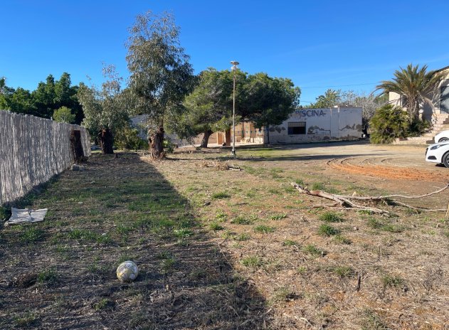 Revente - Finca / Maison Rurale - Elche