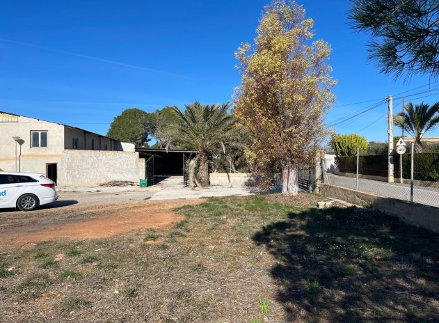 Revente - Finca / Maison Rurale - Elche