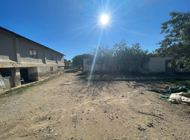 Revente - Finca / Maison Rurale - Elche