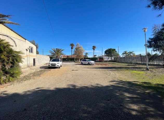 Revente - Finca / Maison Rurale - Elche