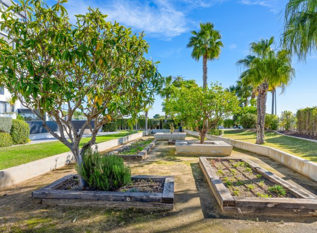 Reventa - Apartamento / Piso - Orihuela Costa - Los Dolses*