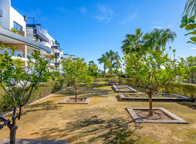 Reventa - Apartamento / Piso - Orihuela Costa - Los Dolses*