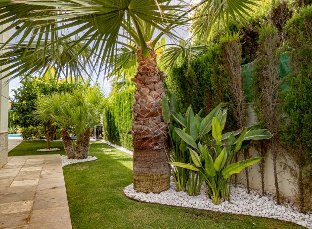 Revente - Villa - La Zenia