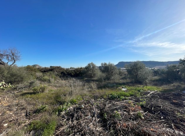 Revente - Finca / Maison Rurale - Aspe